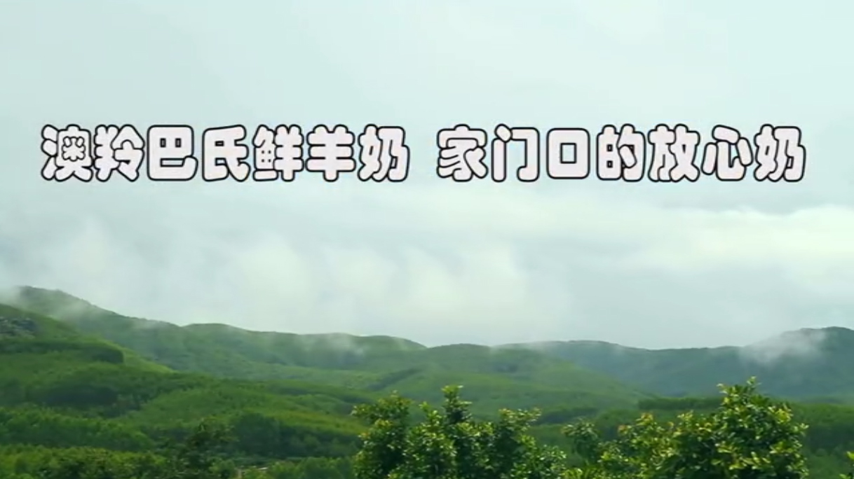 视频背景